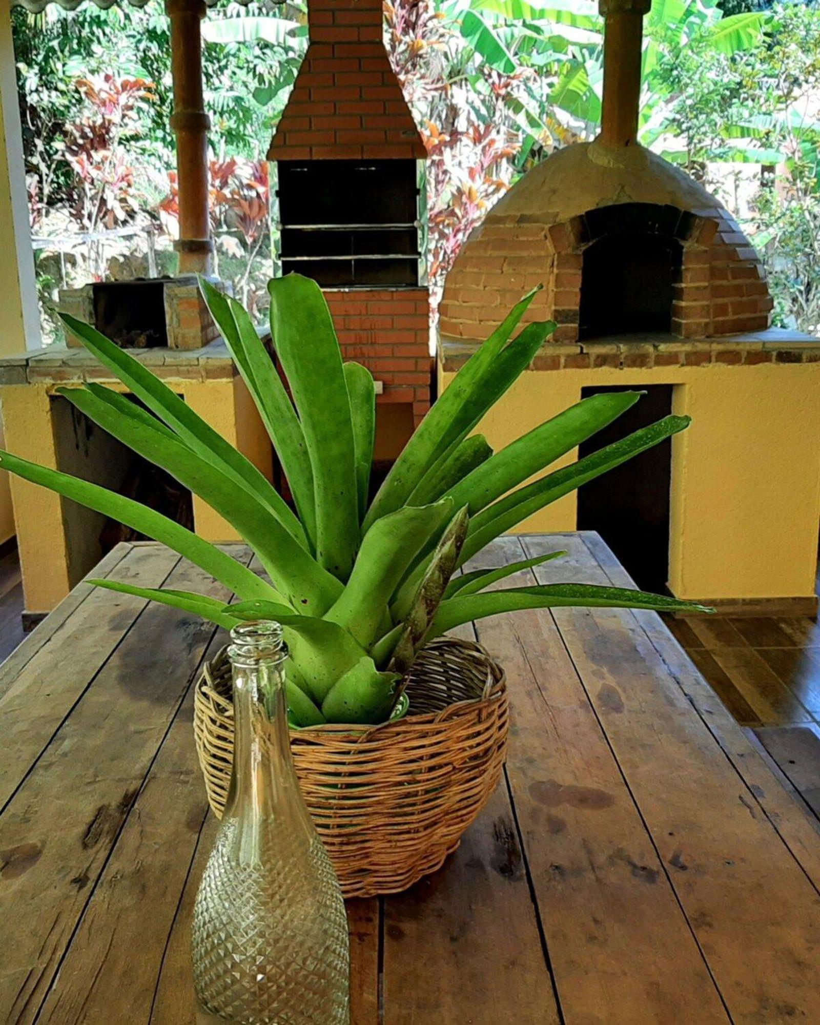 Casa Da Ilha Paraty Entre A Mata Atlantica E O Mar Villa Luaran gambar